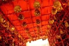 बिनोदपुर यादव टोला पूजा समिति 2025